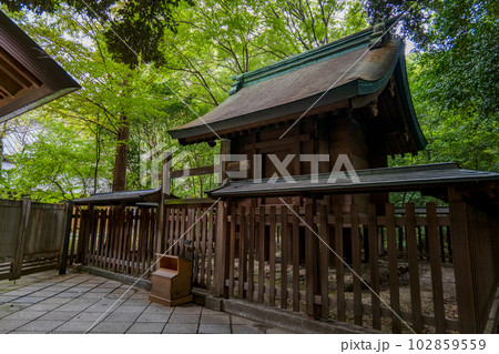 名古屋 熱田神宮 土用殿 102859559