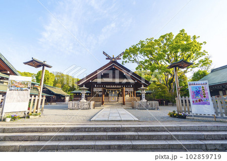 和泉國一之宮 大鳥大社 拝殿(大阪府堺市西区鳳北町) 和泉國一之宮 大鳥大社 拝殿(大阪府堺市西区鳳北町) 102859719