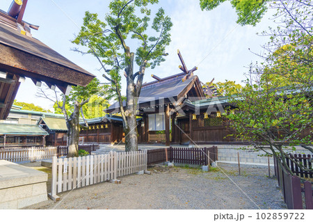 和泉國一之宮　大鳥大社　神門（大阪府堺市西区鳳北町） 102859722