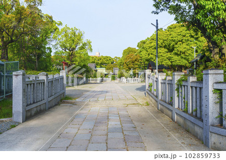 大鳥大社 境内 新緑の季節(大阪府堺市西区鳳北町) 大鳥大社 境内 新緑の季節(大阪府堺市西区鳳北町) 102859733