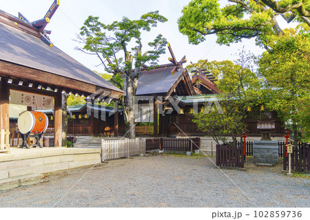 和泉國一之宮 大鳥大社 神門(大阪府堺市西区鳳北町) 和泉國一之宮 大鳥大社 神門(大阪府堺市西区鳳北町) 102859736