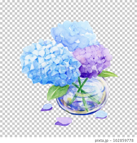 手描きイラスト✢創作水彩原画『見帰りの紫陽花』 Yahoo!オークション - 手描きイラスト オリジナル 紫陽花