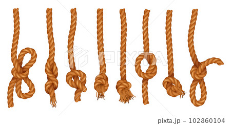 Ropes With Knot Realistic Set Ropes With Knot Realistic Set 102860104