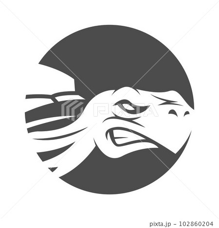 Turtle logo icon design 102860204