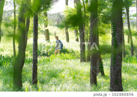 新緑の中でハイキングするシニア女性の写真 102860856