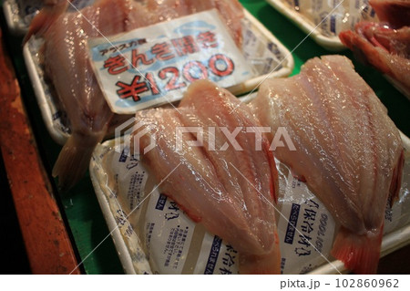 塩釜仲卸市場　キンキ 102860962