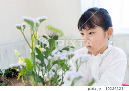 華道を習う小学生 102861234