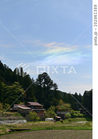 彩雲（さいうん） 102861389