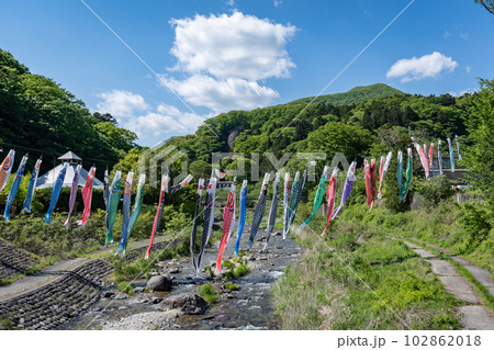 板室温泉の鯉のぼり・那須塩原・栃木県 板室温泉の鯉のぼり・那須塩原・栃木県 102862018