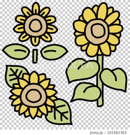 ひまわりのカラーイラスト3点セット 102862363
