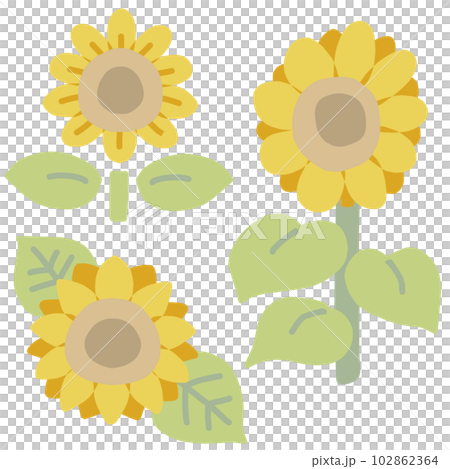 ひまわりのカラーイラスト3点セット 102862364