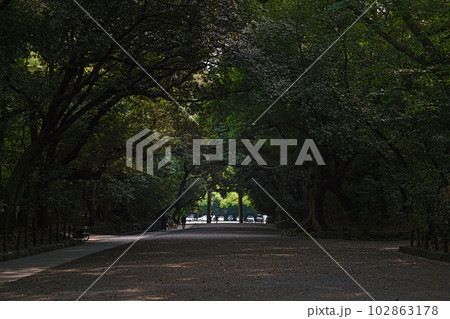 名古屋 熱田神宮 熱田の杜と参道の風景 102863178