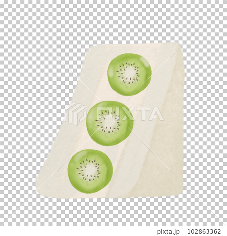 kiwi fruit sandwich, hand drawn illustration kiwi fruit sandwich, hand drawn illustration 102863362