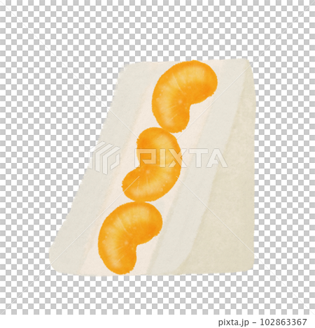 orange fruit sandwich, hand drawn illustration orange fruit sandwich, hand drawn illustration 102863367
