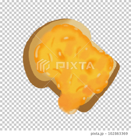 Orange marmalade Breakfast toast, hand drawn illustration Orange marmalade Breakfast toast, hand drawn illustration 102863369