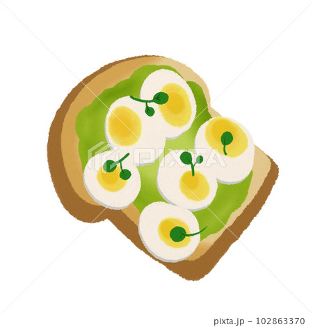 boiled egg Breakfast toast, hand drawn illustration 102863370