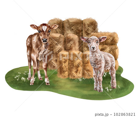 A farmer's composition of haystacks and sheep and cow cubs. For postcards, textiles, booklets, banners, stickers. Digital illustration 102863821