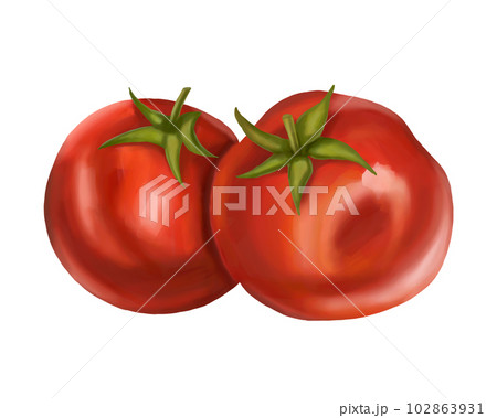 Red ripe fleshy tomato. Digital illustration on a white background. Applicable for packaging design, postcards, prints, textiles Red ripe fleshy tomato. Digital illustration on a white background. Applicable for packaging design, postcards, prints, textiles 102863931
