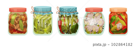 Closed with Lid Glass Jar with Preserved Food Vector Set Closed with Lid Glass Jar with Preserved Food Vector Set 102864182