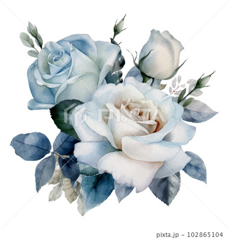 Blue Pastel Rose Flower Bouquet Watercolor Illustration 102865104