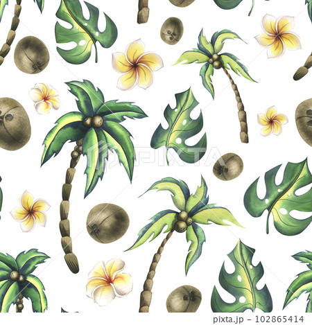 Tropical coconut palms and monstera leaves with frangipani flowers. Watercolor illustration, cartoon style, hand drawn. Seamless pattern on a white background. For fabric, wallpaper, paper, packaging. Tropical coconut palms and monstera leaves with frangipani flowers. Watercolor illustration, cartoon style, hand drawn. Seamless pattern on a white background. For fabric, wallpaper, paper, packaging. 102865414