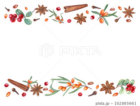 Watercolor frame of sea buckthorns, cowberries, star anise, cloves, cinnamons isolated on white. Illustration for postcard design, invitation template, birthday, Christmas and New Year cards 102865661