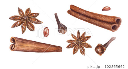 Watercolor set of cinnamons, star anise and cloves isolated on white background. Botanical illustration for Christmas and New Year cards, book design, greetings, stickers, patterns, templates, spice s 102865662