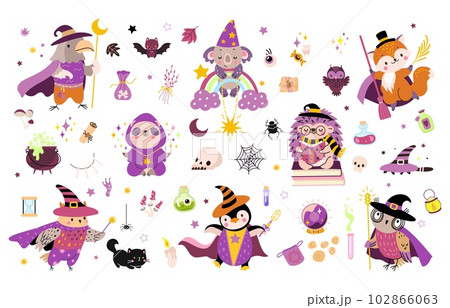 Wizard animals and magic elements. Isolated fantasy witch, wizards in mantle and hats. Poison bottles, magical game nowaday vector clipart Wizard animals and magic elements. Isolated fantasy witch, wizards in mantle and hats. Poison bottles, magical game nowaday vector clipart 102866063