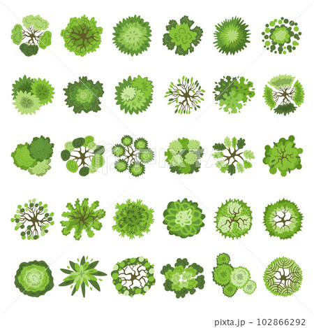 Trees collection. Map top view plants park garden set recent vector illustration set Trees collection. Map top view plants park garden set recent vector illustration set 102866292