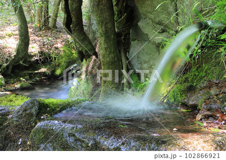 初夏の山吹水源・水汲み場（熊本県産山村・名水百選） 102866921