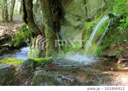 初夏の山吹水源・水汲み場（熊本県産山村・名水百選） 102866922
