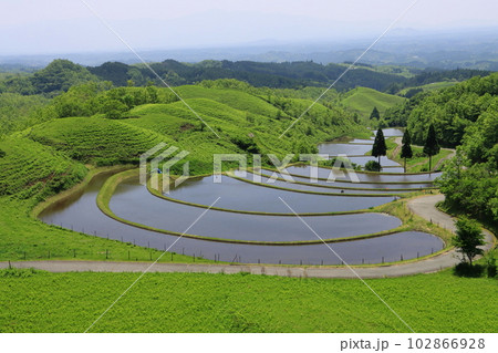 田植えの時期の扇棚田(熊本県産山村・重要文化的景観) 田植えの時期の扇棚田(熊本県産山村・重要文化的景観) 102866928