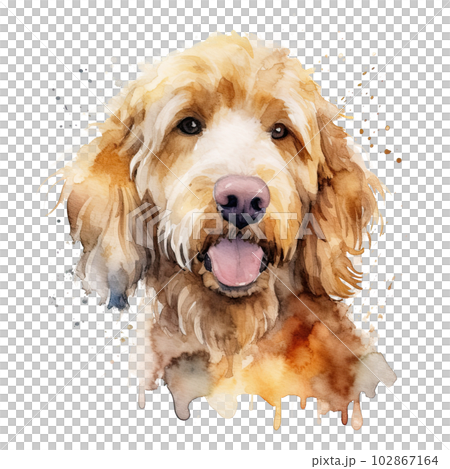 Cute watercolor goldendoodle dog. Illustration AI Generative 102867164
