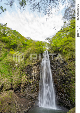 玉簾の滝 新緑 玉簾の滝 新緑 102868055