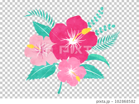 ハイビスカスの花と葉っぱの水彩イラスト ハイビスカスの花と葉っぱの水彩イラスト 102868582