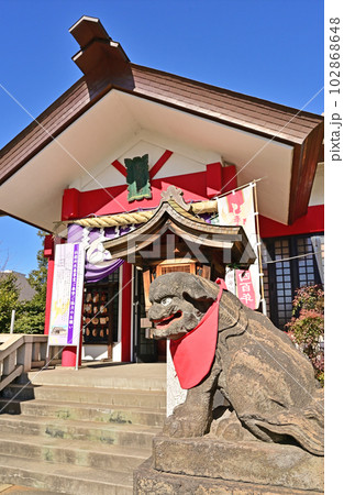 川口散歩・元郷氷川神社 狛犬 川口散歩・元郷氷川神社 狛犬 102868648