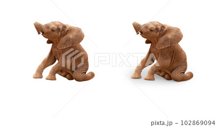 Baby Elephant Isolated On White With and Without A Shadow. 102869094