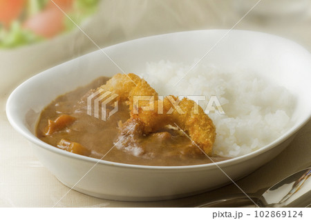 イカフライカレー イカフライカレー 102869124