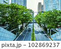 車や観光の人が行き交う大都会の風景 102869237