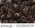 まつぼっくりを敷き詰めた素材 102869256