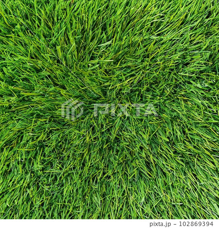 草タイル_10 草タイル_10 102869394