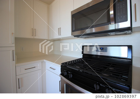 アメリカ　カルフォルニア　駐在員　アパートメント　 102869397