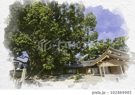 水彩画風　太宰府天満宮　大樟　福岡県太宰府市 102869985