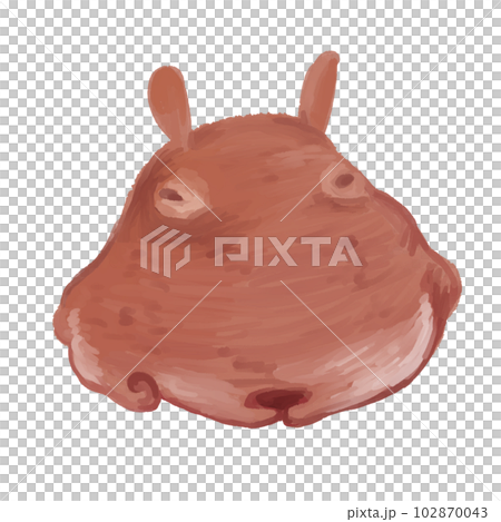 リアルなメンダコ 102870043