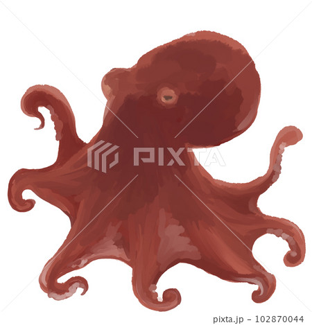 リアルな真蛸 リアルな真蛸 102870044