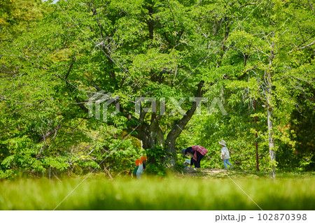 初夏の公園で遊んでいる保育園の子供達 初夏の公園で遊んでいる保育園の子供達 102870398