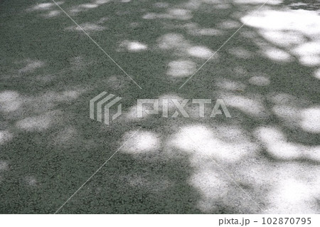 地面に映るおぼろげな木漏れ日の影、木の影 102870795