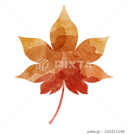 紅葉の水彩イラスト 紅葉の水彩イラスト 102871296