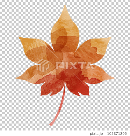 紅葉の水彩イラスト 紅葉の水彩イラスト 102871296