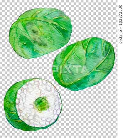 Mehari sushi watercolor painting hand-drawn illustration watercolor illustration 102872330